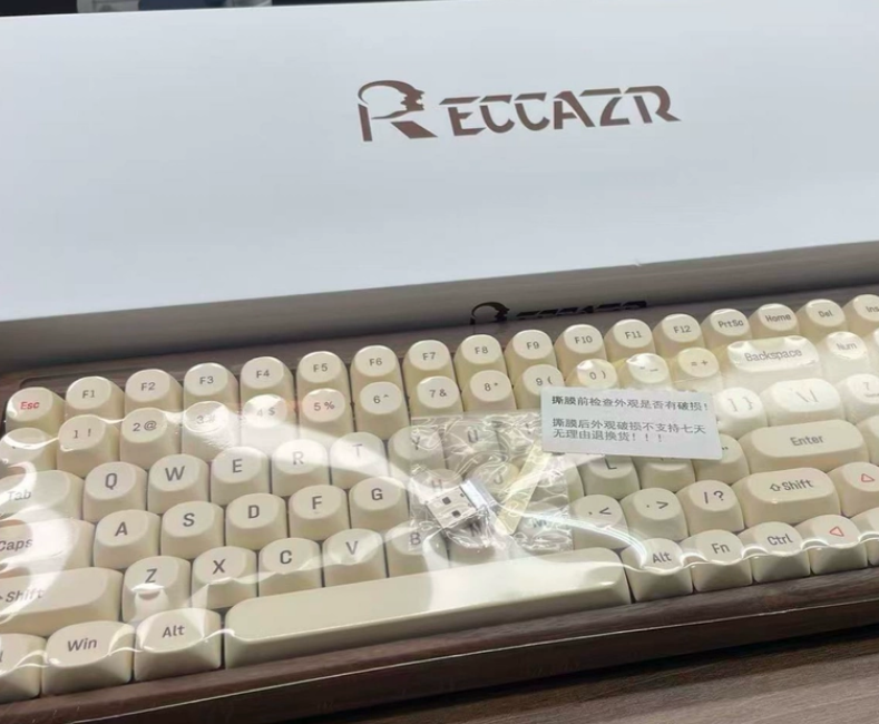 RECCAZR R100 Custom Mechanical - Retro Gaming Uk 评论和价格